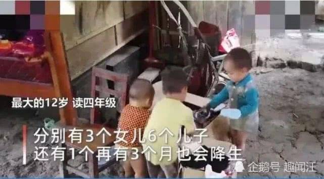 廣西最新預情，自然美景探索之旅，喚醒內(nèi)心平靜之旅