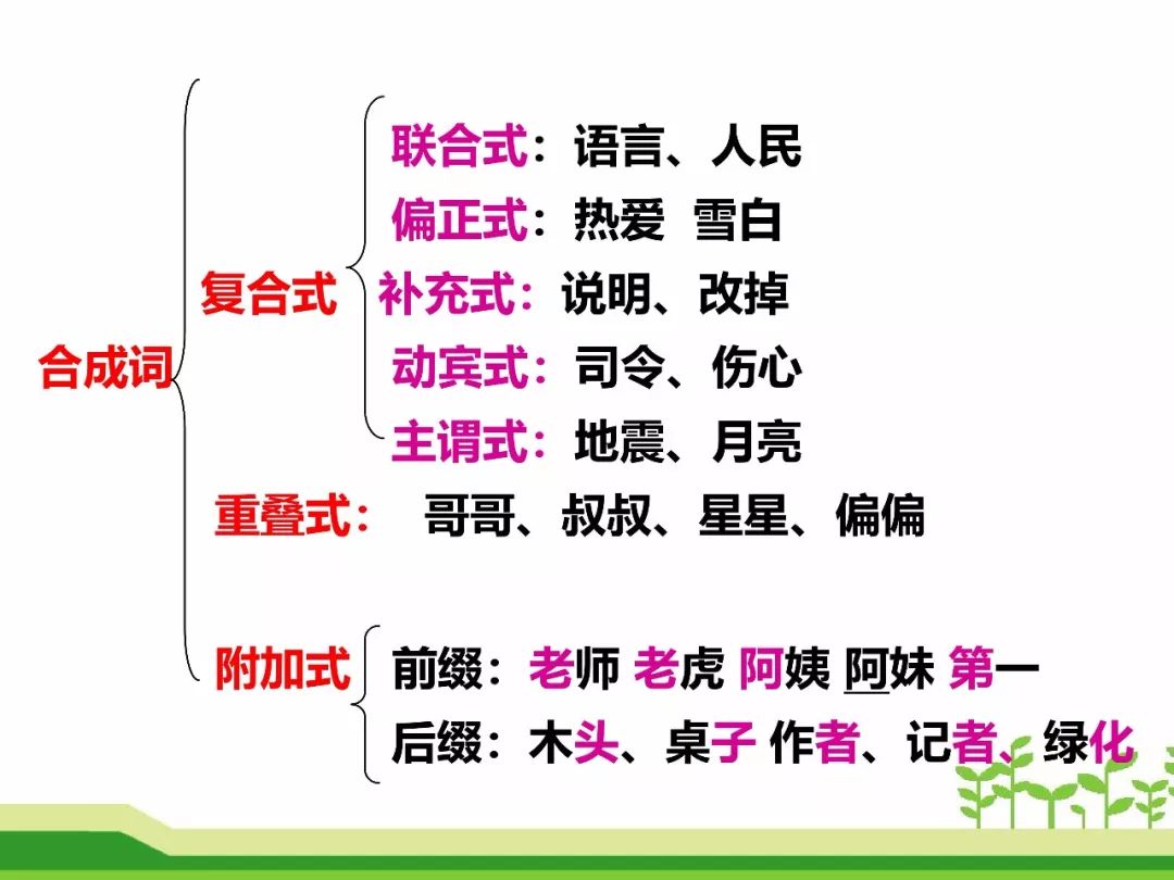 最新合成詞，語(yǔ)言發(fā)展的微觀視角探索