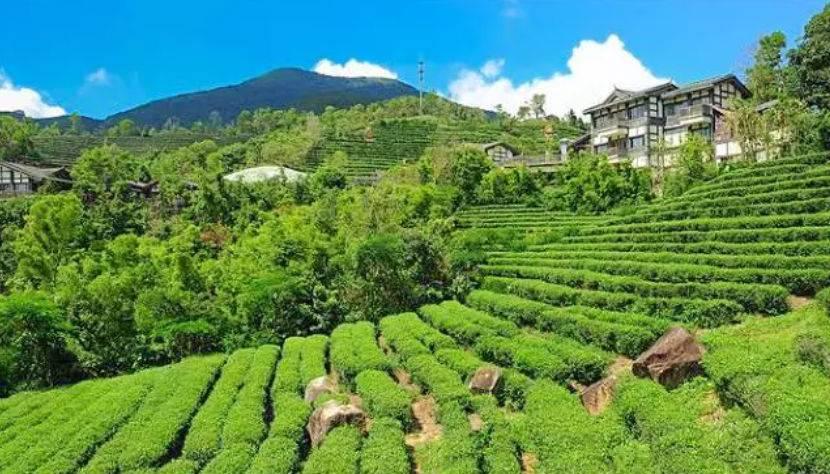 深圳驚喜活動(dòng)溫情之旅，日常中的特別瞬間