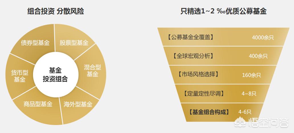 深度解析，今年養(yǎng)雞產(chǎn)業(yè)趨勢與前景展望