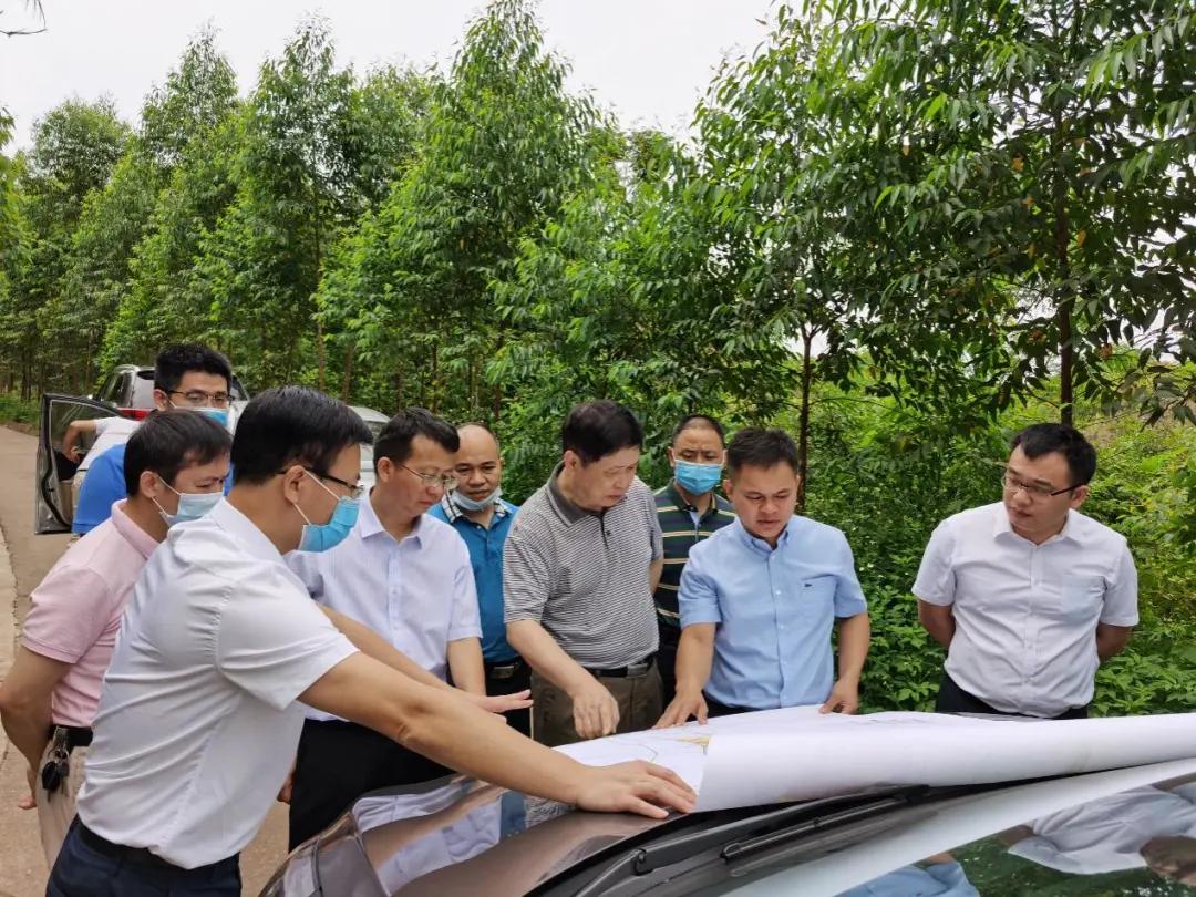 南寧龍象谷最新資訊，游玩指南與技能學(xué)習(xí)步驟全解析