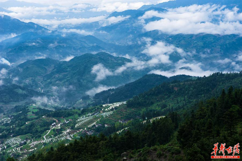 雪峰山資訊，一段溫馨有趣的探索之旅