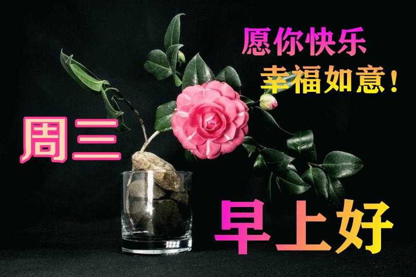最新早晨問候動(dòng)態(tài)表情包，溫馨問候，從表情開始！