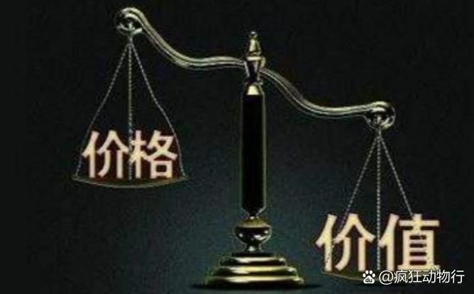 價格與價值解析，差異何在？