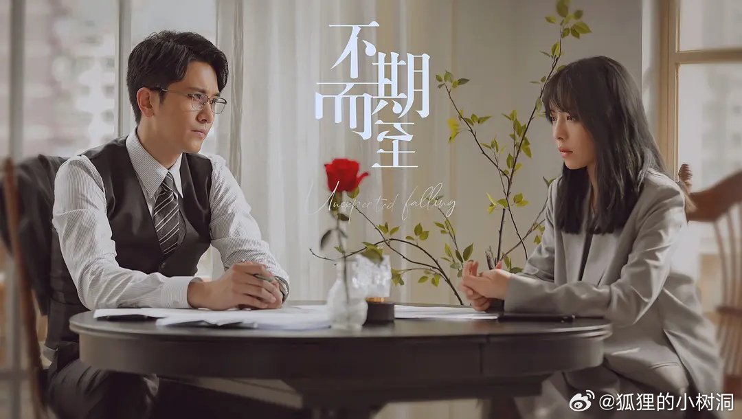 不期而至電視劇，從入門到進階的觀看指南