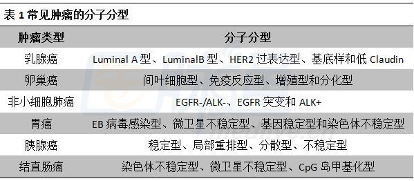最新乳腺分類科技產(chǎn)品介紹，引領(lǐng)乳腺健康新篇章
