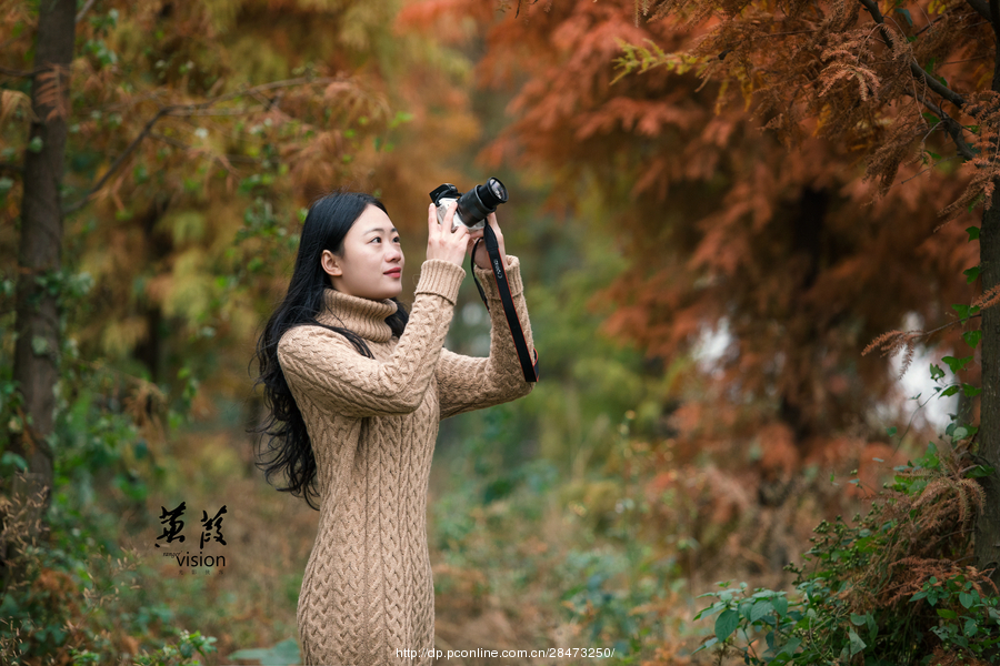 伊人在線電影，探索現(xiàn)代網(wǎng)絡(luò)影視的新境界
