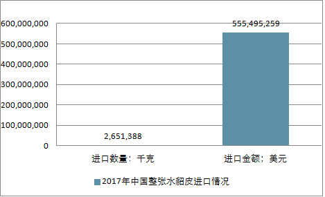 關(guān)于水貂行情的深度解析與預(yù)測，展望2025年水貂市場趨勢