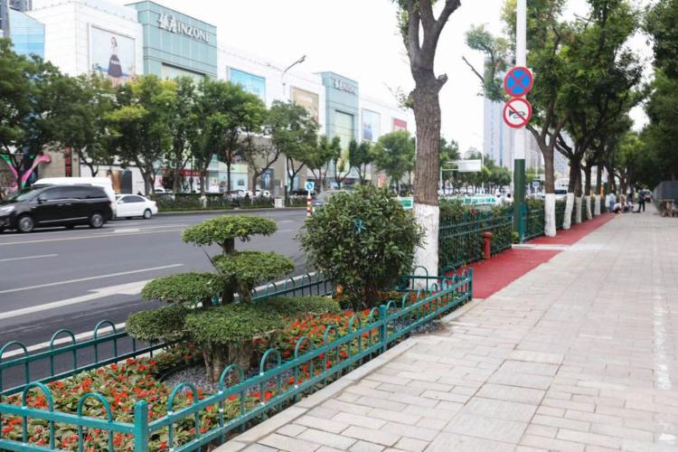 濰坊市奎文區(qū)改造工程，自然美景的探索之旅