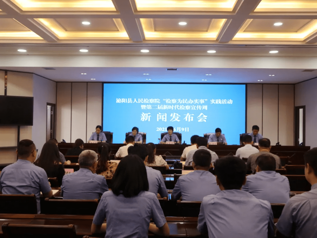 泌陽新聞最新動(dòng)態(tài)，多元視角下的觀察與思考
