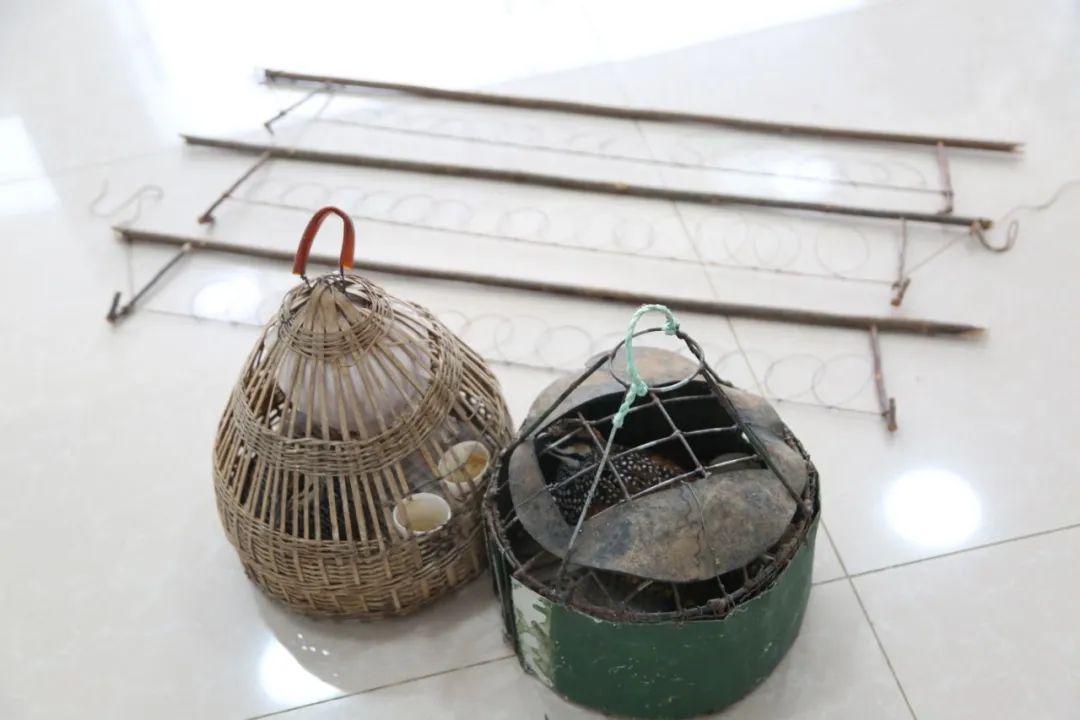 小巷中的神秘寶藏揭秘，最新捕鳥工具揭秘