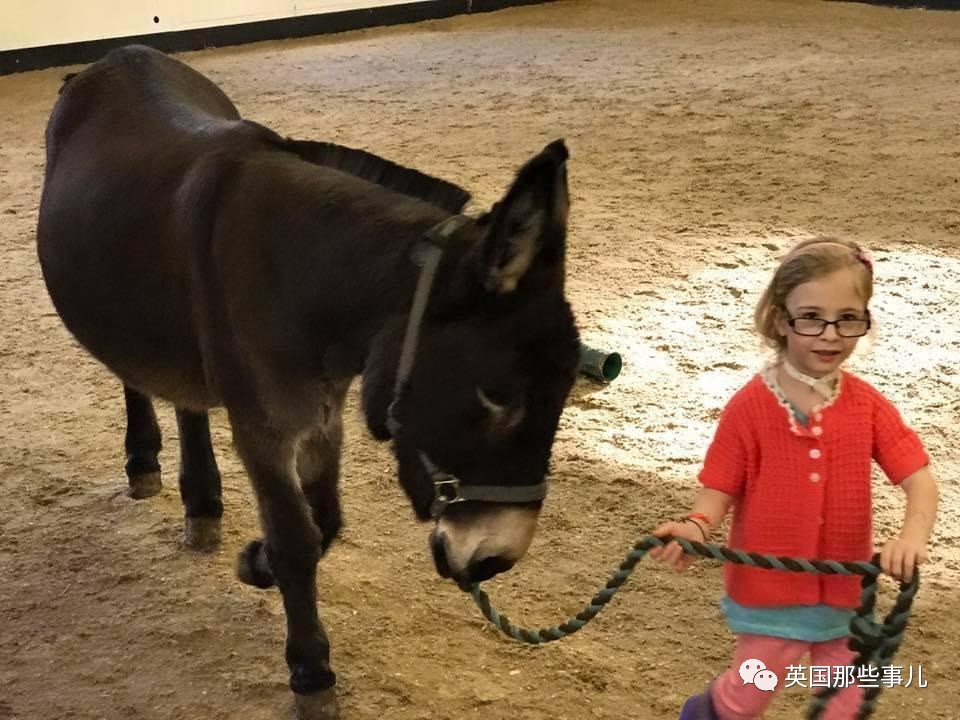 二驢子最新事件揭秘，事件全貌大揭秘！