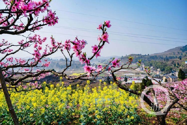 合川最新科技新聞，高科技產(chǎn)品引領(lǐng)未來生活潮流