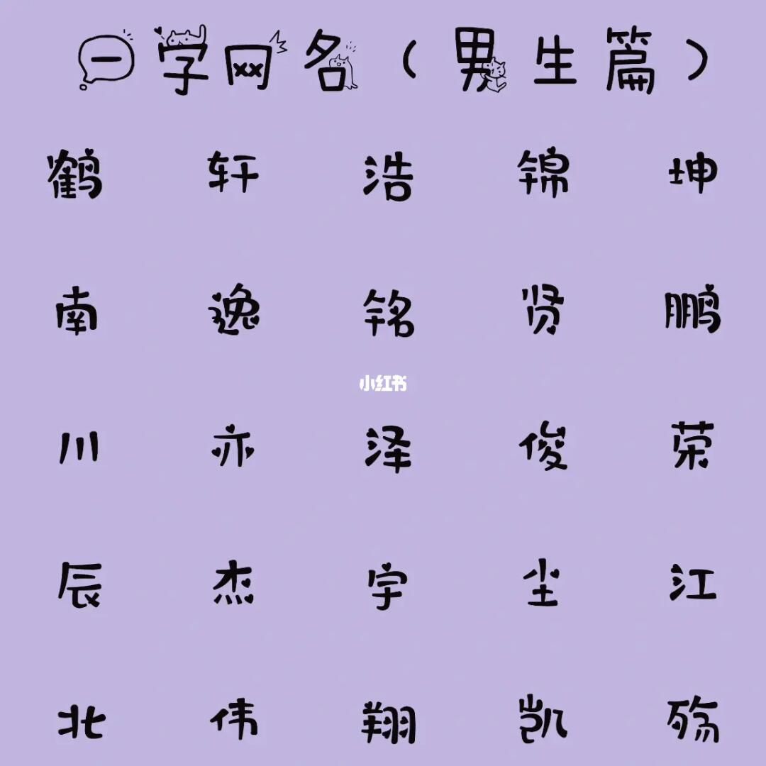 最新男生網(wǎng)名，時代潮流與虛擬身份的完美融合塑造