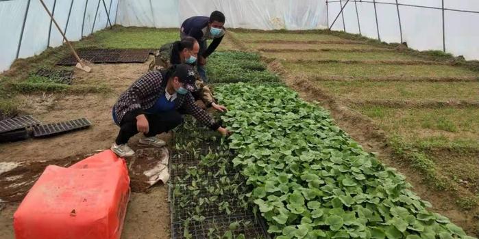 策勒最新招聘啟航人才新篇章，學(xué)習(xí)變化，擁抱自信與成就，啟程人生新征程！