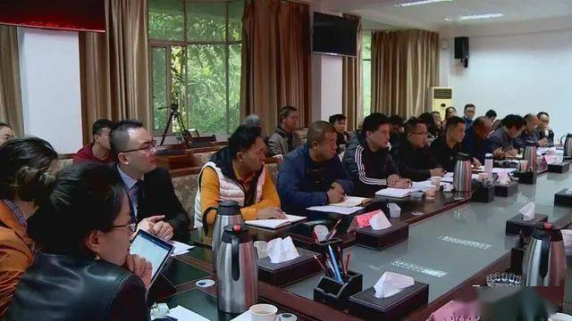 德昌最新新聞，擁抱自然，心靈寧靜之旅啟程