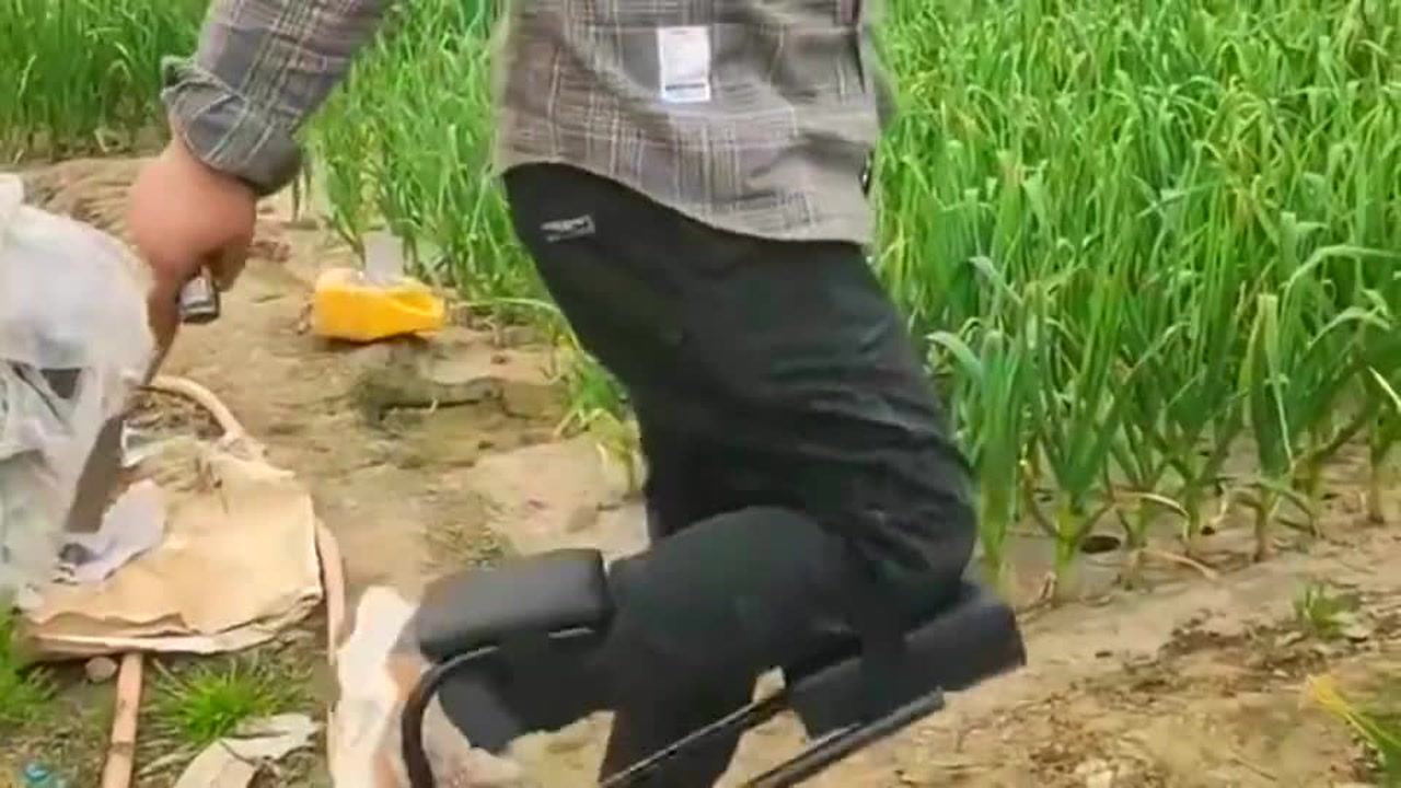 LED光源 第73頁
