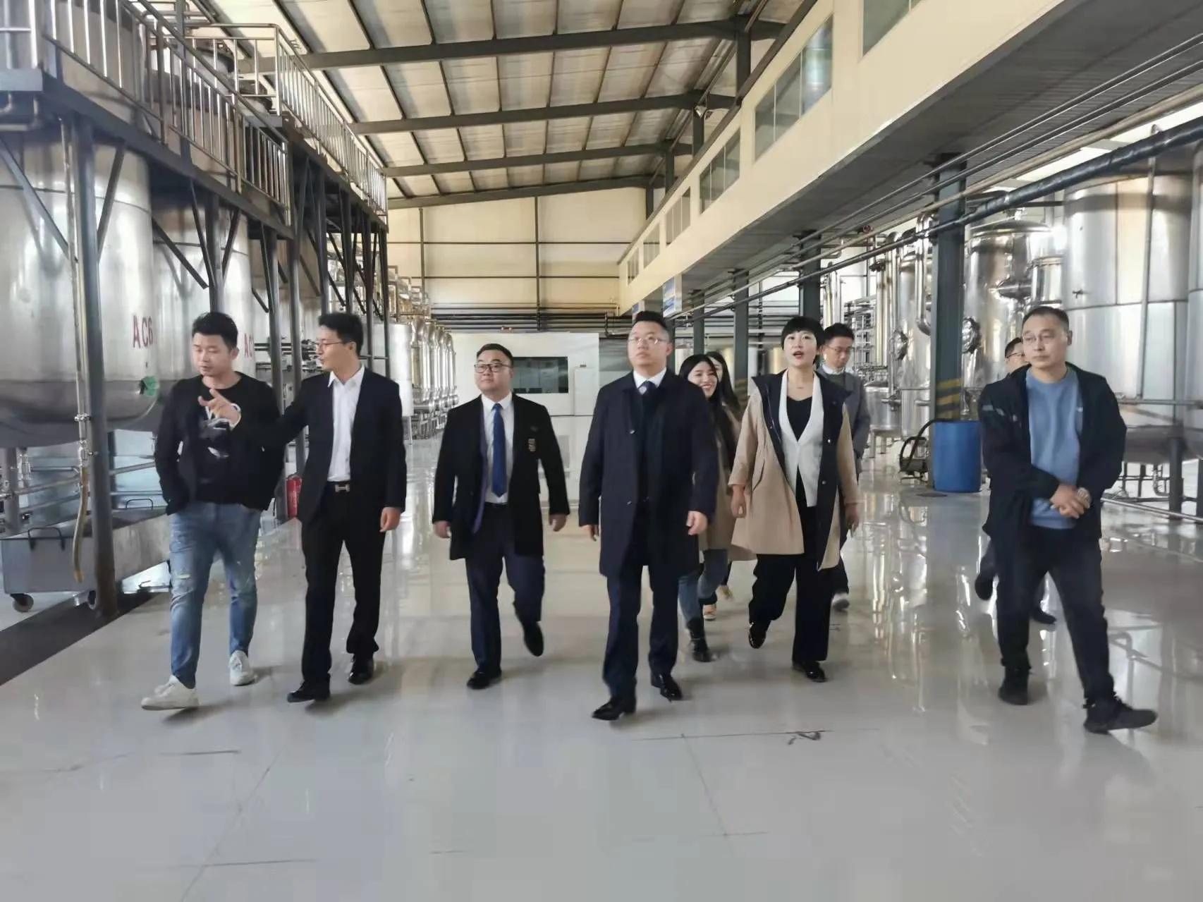 鼎恒升最新動態(tài)，追溯特定領域的發(fā)展歷程與重要地位