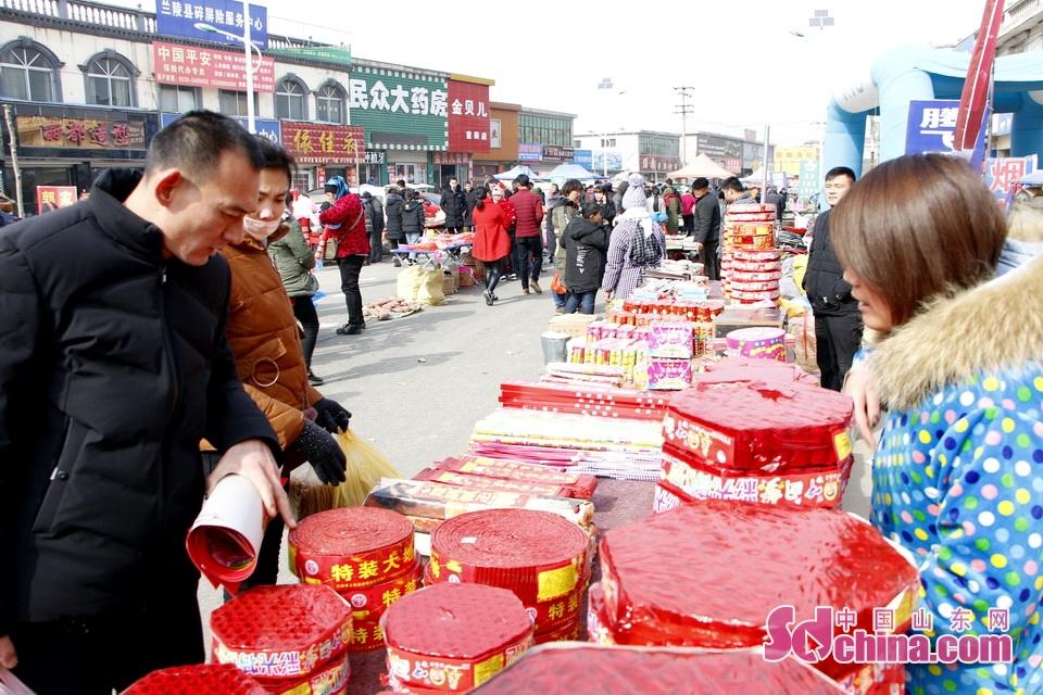 淘元素最新，淘淘的奇妙冒險之旅與友情的溫暖體驗