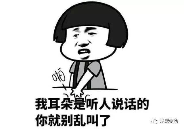 最新枕邊笑話，科技小寶貝，生活添樂趣