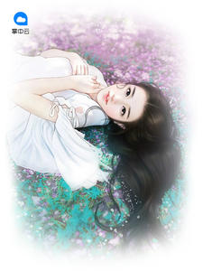 最新豪婿，小巷深處的獨(dú)特風(fēng)情