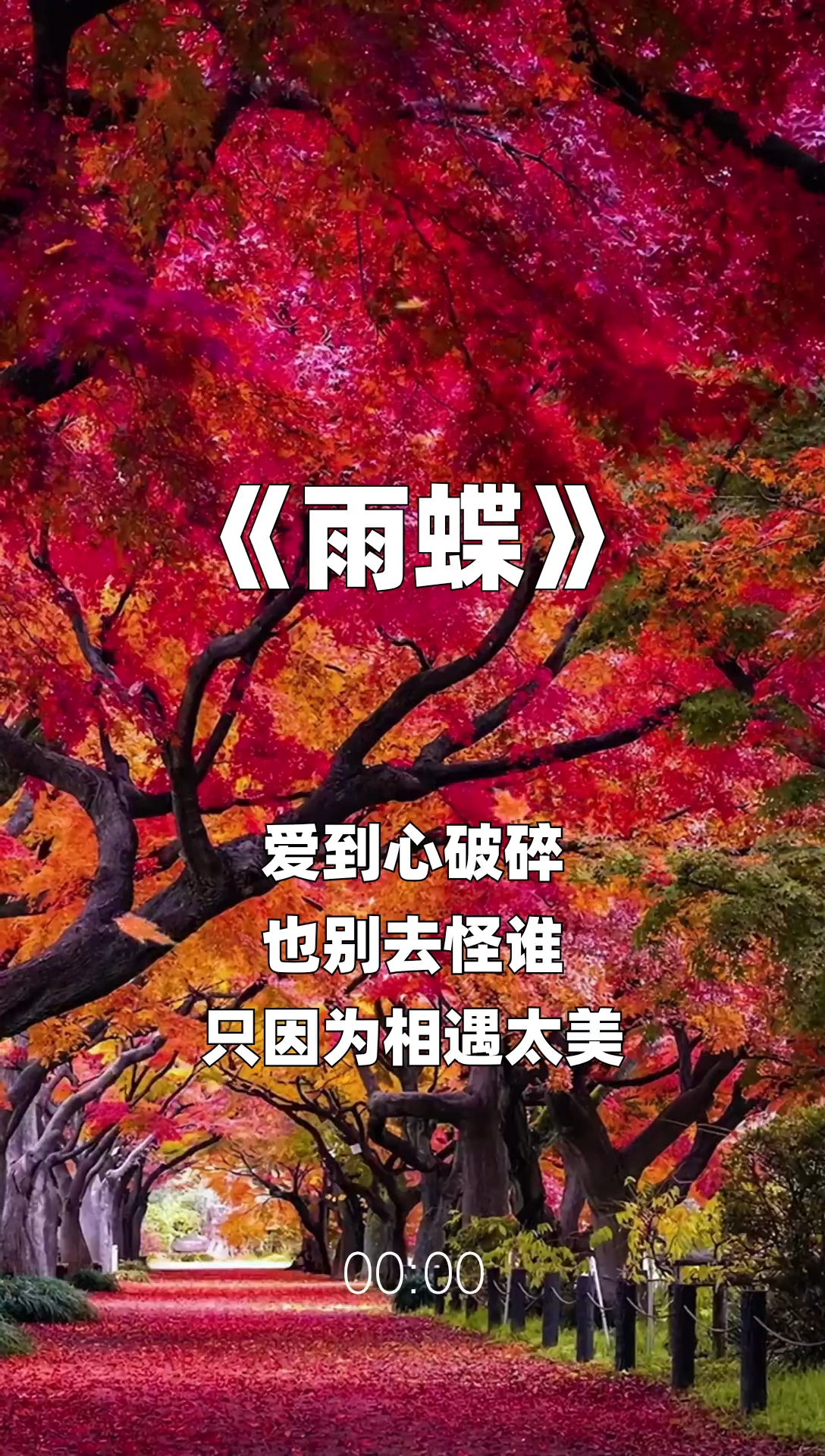 雨蝶最新步驟指南，如何完成任務(wù)或?qū)W習(xí)技能？