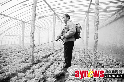 最新農(nóng)藥抽檢結(jié)果出爐，守護農(nóng)田安全，你我他的共同責(zé)任