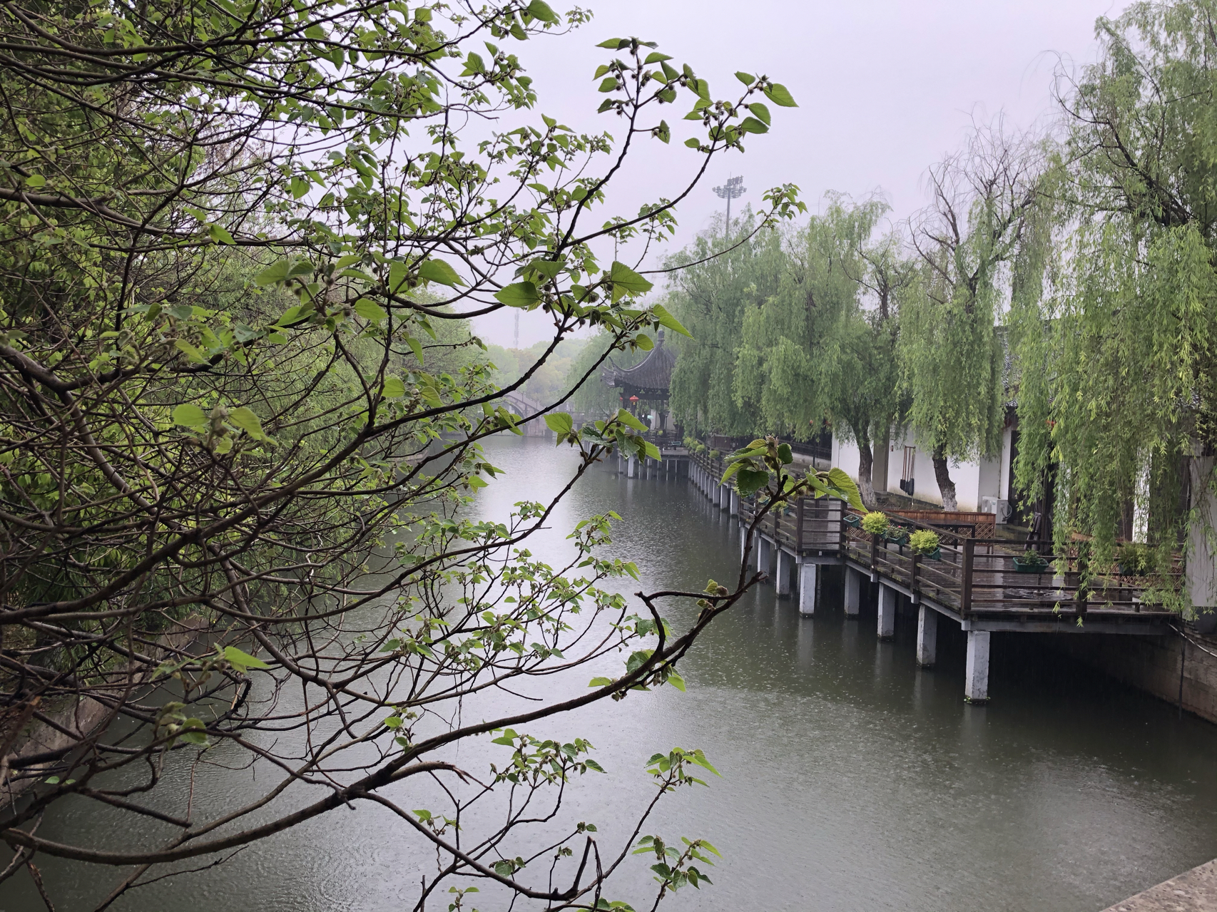 江南煙雨最新，自信與成就感的成長(zhǎng)之旅