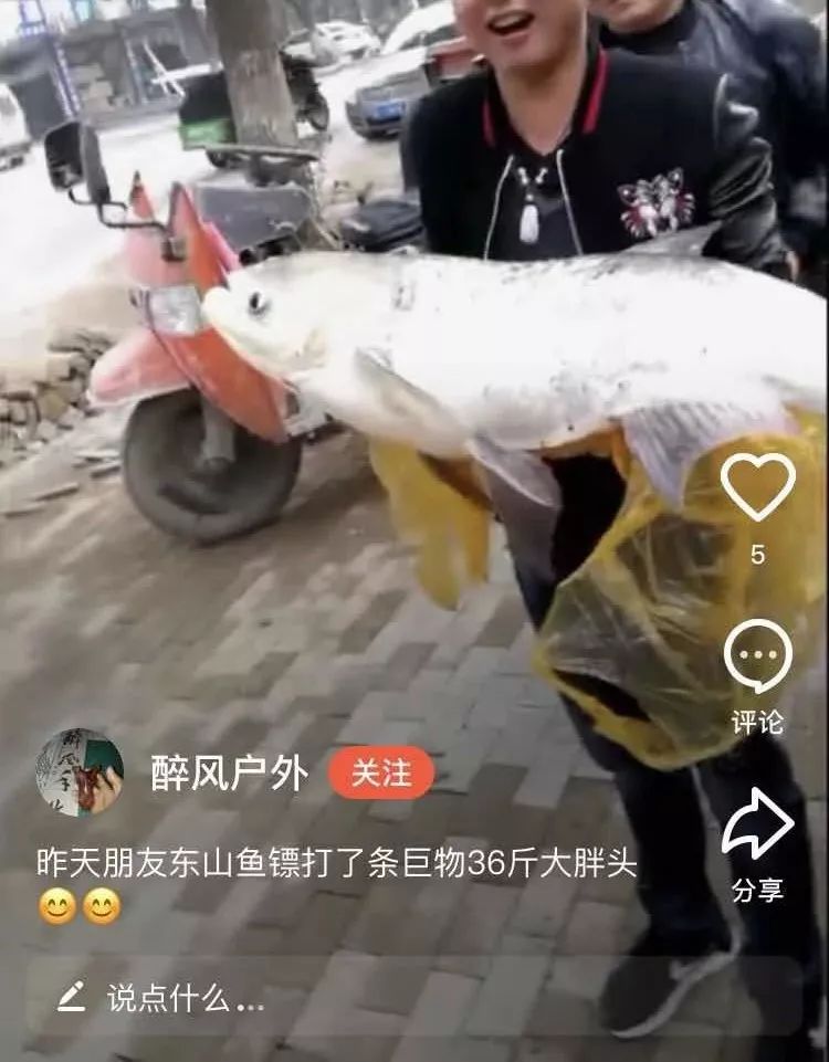 射魚神器進化升級，學習變革與自信成就之源
