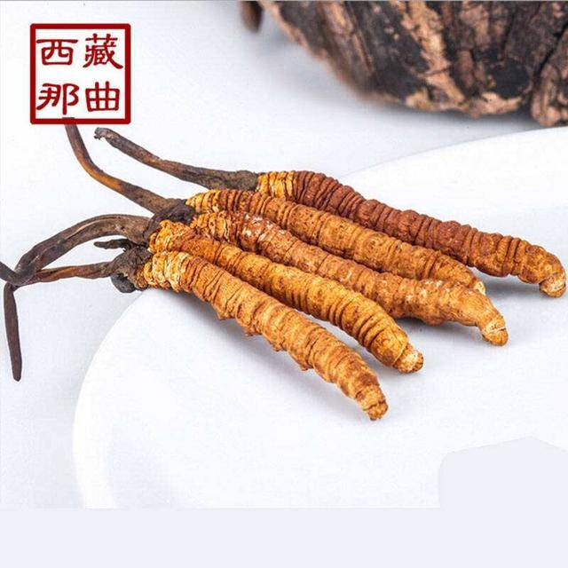揭秘2025年蟲草最新價格，探尋小巷中的秘密行情！
