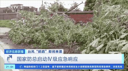 超強(qiáng)臺(tái)風(fēng)鸚鵡來(lái)襲，最新路徑動(dòng)態(tài)全解析???