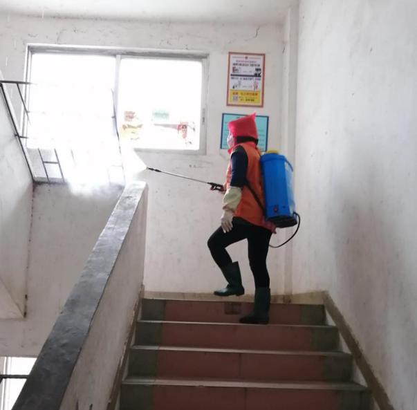 蓬江區(qū)最新高科技住宅，重塑未來(lái)生活體驗(yàn)的首選之地