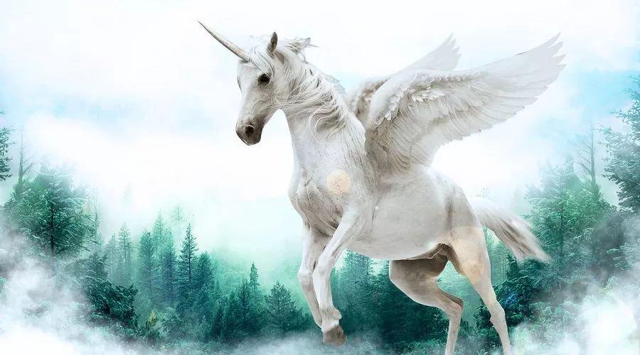 中國最新獨(dú)角獸，自信與成就感的源泉
